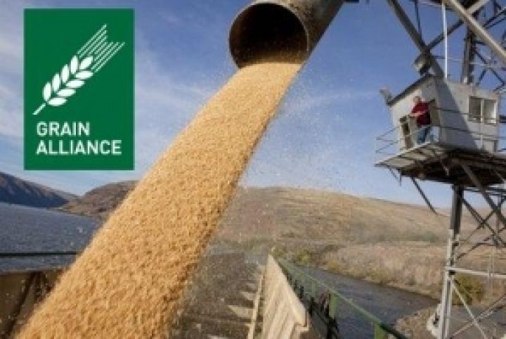 Grain Alliance планирует наращивать элеваторные мощности в Полтавской области