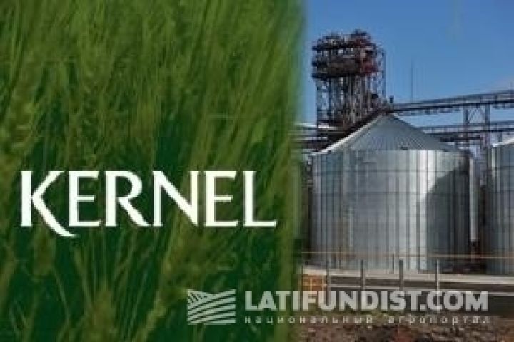 Кернел докупил доли в сахарных и агрокомпаниях почти на $ 2,4 млн