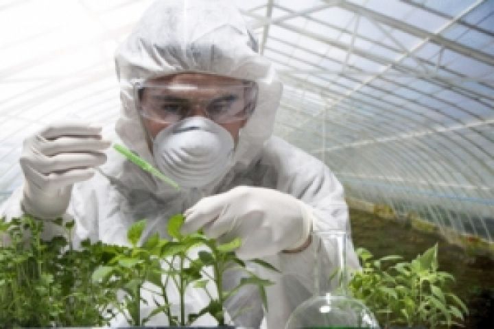 Со временем в Европе признают важность ГМО — эксперт