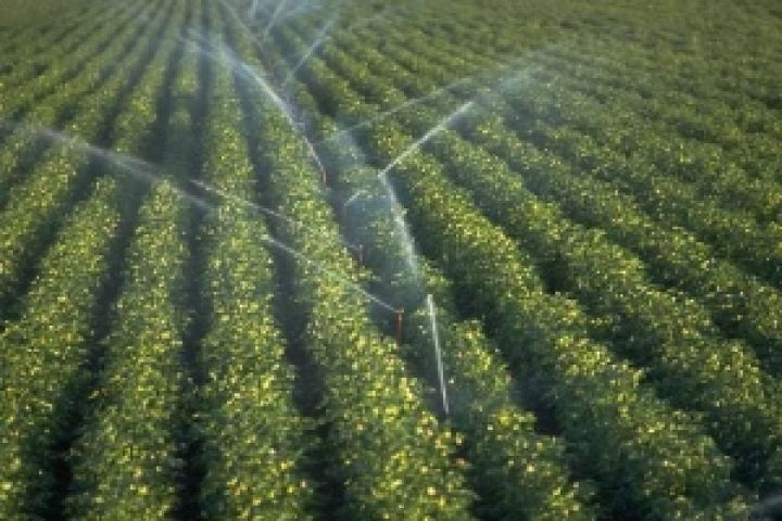 До 2015 года восстановят орошение 1 млн га сельхозугодий на Юге Украины