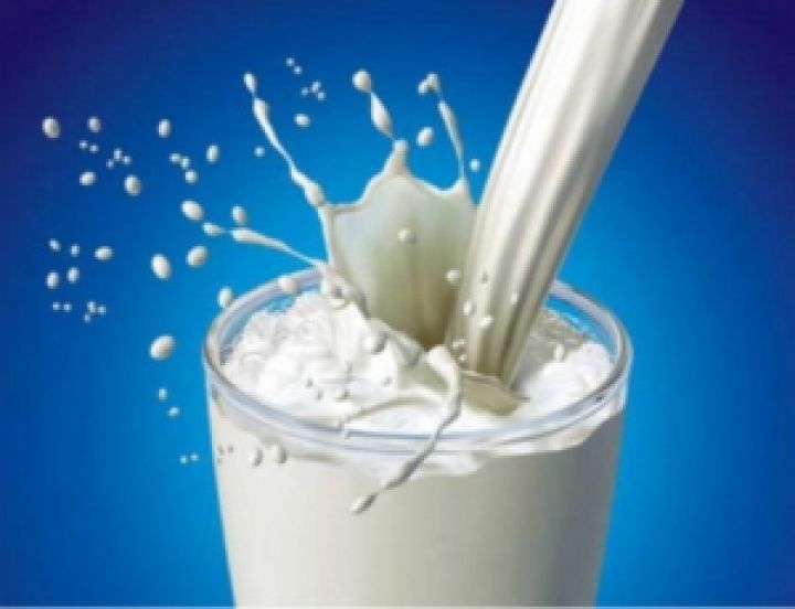 Милкиленд будет производить 60 тыс. тонн молока в год