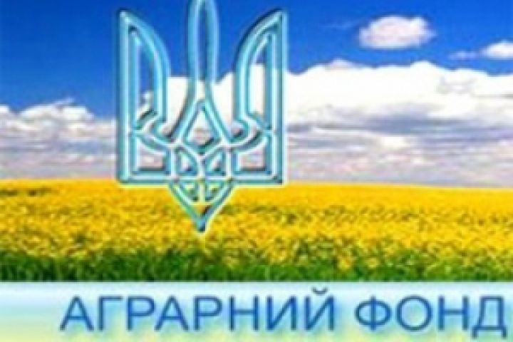 Операции Аграрного фонда Украины с зерном будут освобождены от НДС