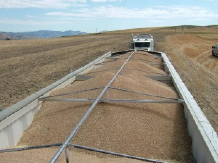 Минсельхоз США повысил прогноз экспорта зерна из Украины