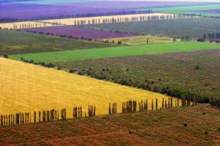 Погода и конъюнктура рынка изменят структуру посевов в Украине