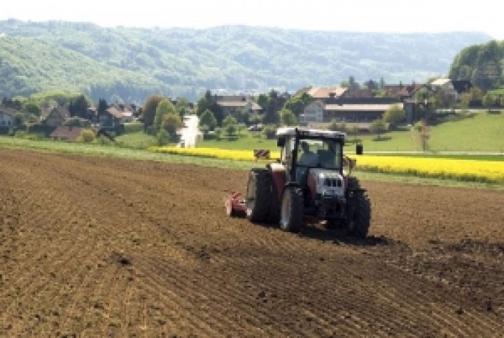 Украинские агрохолдинги не готовы к покупке земли