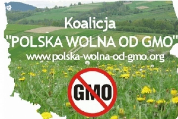 Польша отказалась от ГМО