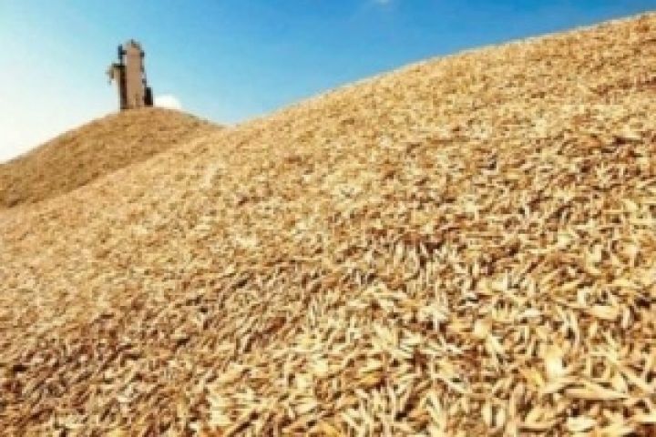 Сельхозпроизводители получили 895 млн грн по форвардам