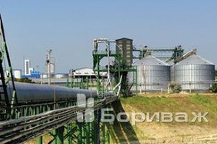 Зерноперевалочный терминал Бориваж приобрел одесскую компанию