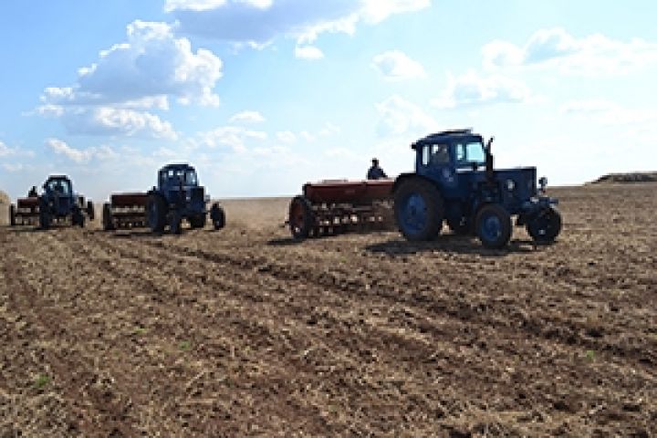 Украинские аграрии возобновили посевную — Минагропрод
