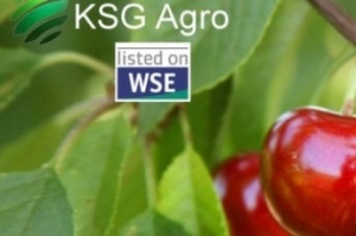 KSG Agro приобрел 4,7 тыс. собственных акций