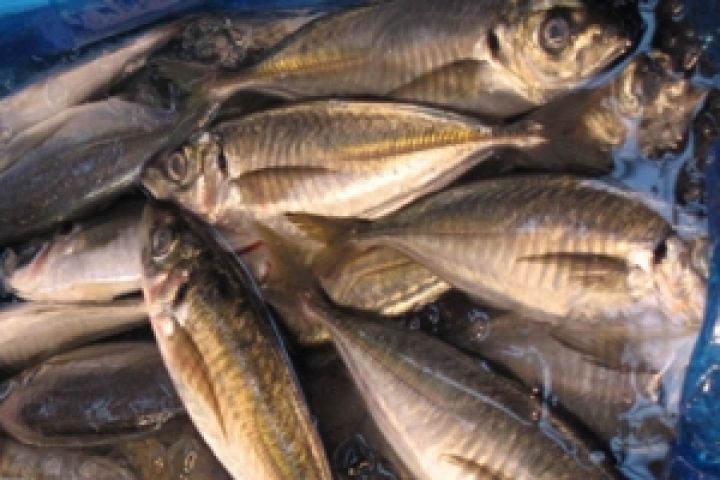 В Европе дешевая рыба маскируется под деликатесную