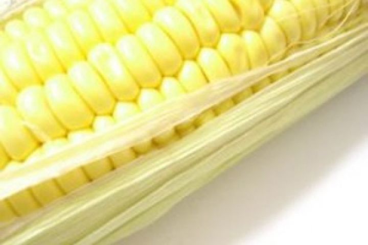 США. Посевная кукурузы затягивается