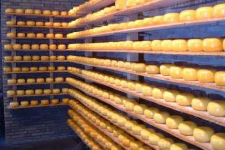 Украинский рынок сыра завоевывают иностранные компании 