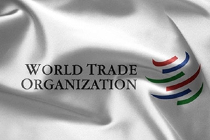 Аграрная Украина в ВТО «потеряла» 500 тыс. рабочих мест