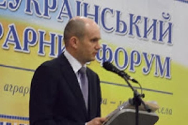 А.П. Игнатов, заместитель министра доходов и сборов Украины