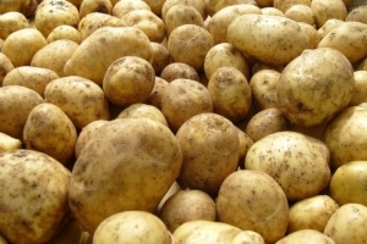 Аграрии Сумщины намерены засеять картофелем 65 тыс. га земли