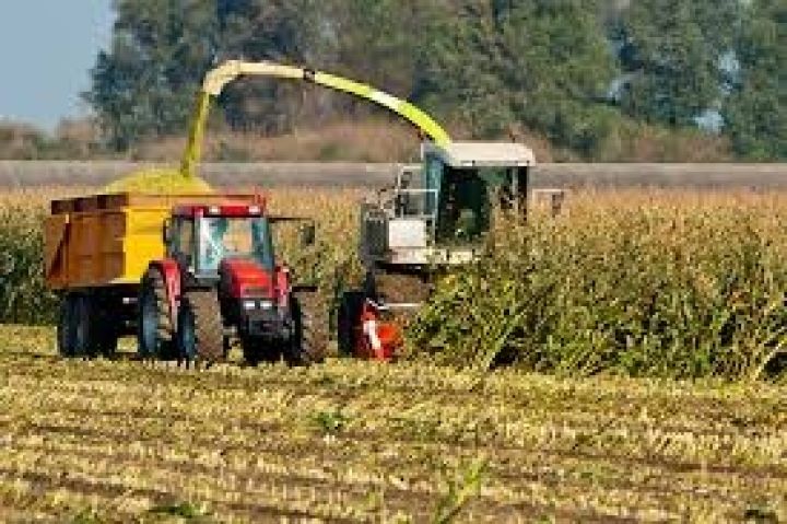 В Украине фиксируется увеличение посевов кукурузы и сои под урожай 2013