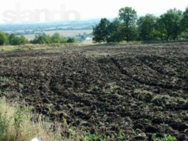 В Запорожской области горе-аграрии истощили около половины пахотных земель
