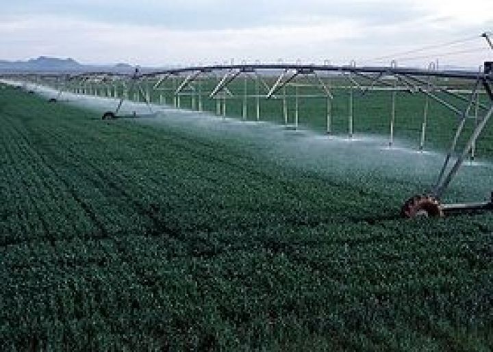 Американская Monsanto готова вложиться в оросительные системы украинских фермерских хозяйств