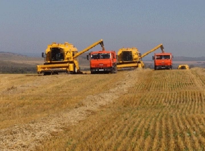 В Украине планируют увеличить производство сельхозпродукции на 6%