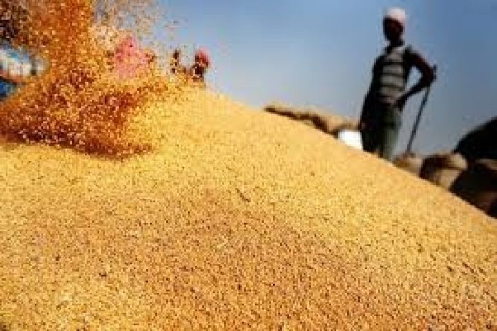 Украинская пшеница потеснит французскую на мировом рынке