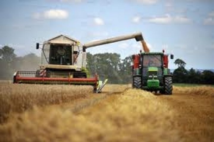 Урожай зерна в Украине ожидается на уровне 50 млн т 