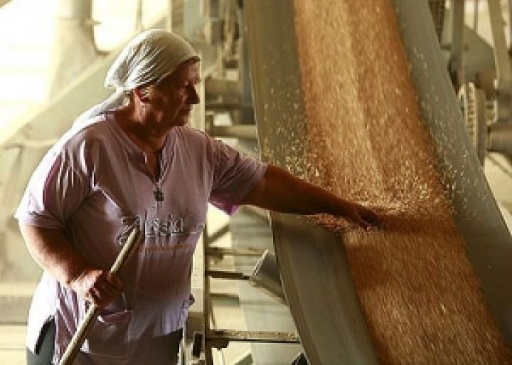 Украина и Россия компенсируют сокращение экспорта американской пшеницы в мире
