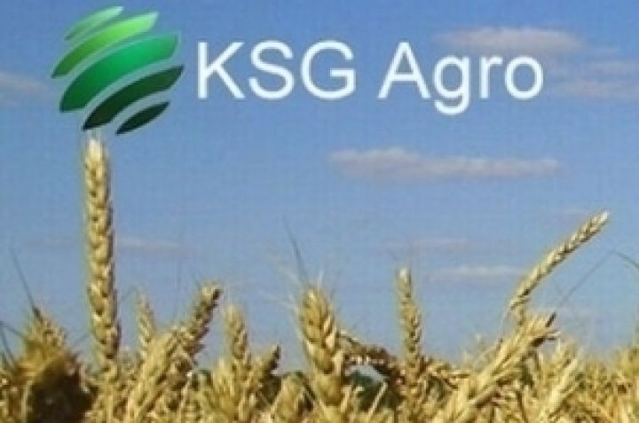 KSG Agro увеличил посевные площади на 35%