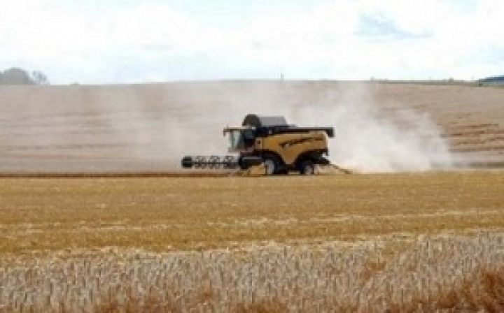 В Украине стартовал сбор урожая зерновых