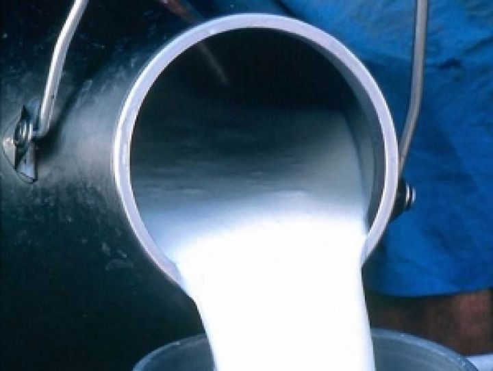 Молочники просят не допустить административного регулирования цен на молоко
