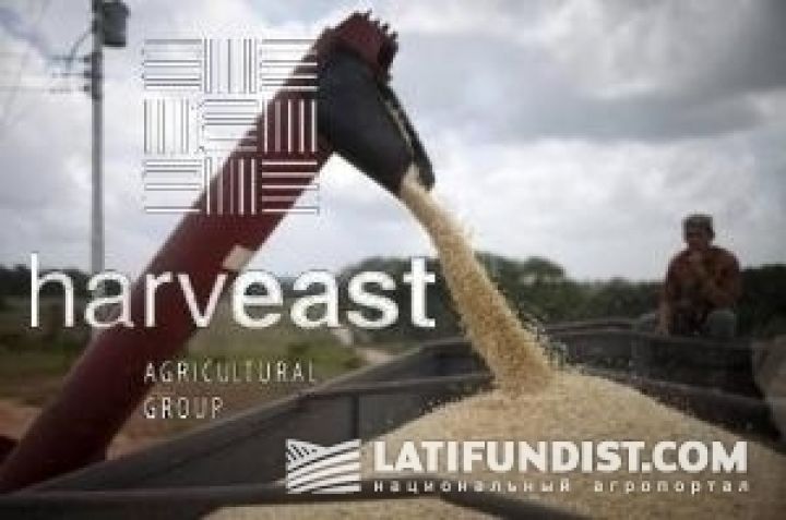 Агрохолдинг HarvEast начал уборку зерновых