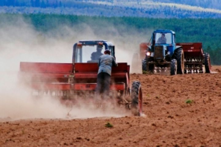 Сельское хозяйство может стать локомотивом экономики Украины