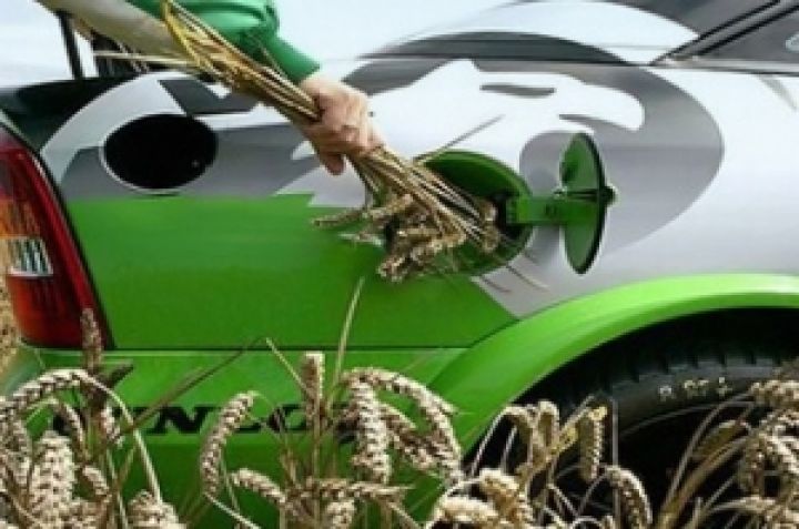 Украина нарастит производство биоэтанола до  65 тыс. т
