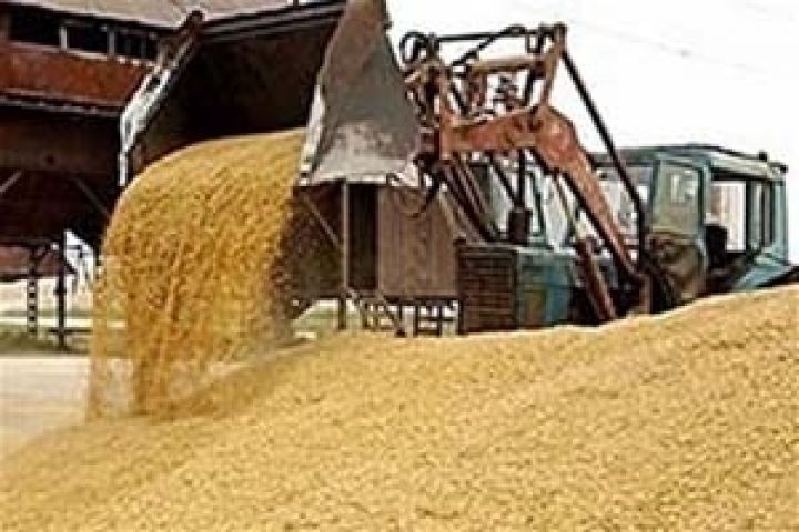 Сумщина планирует собрать 3 млн т зерна нового урожая