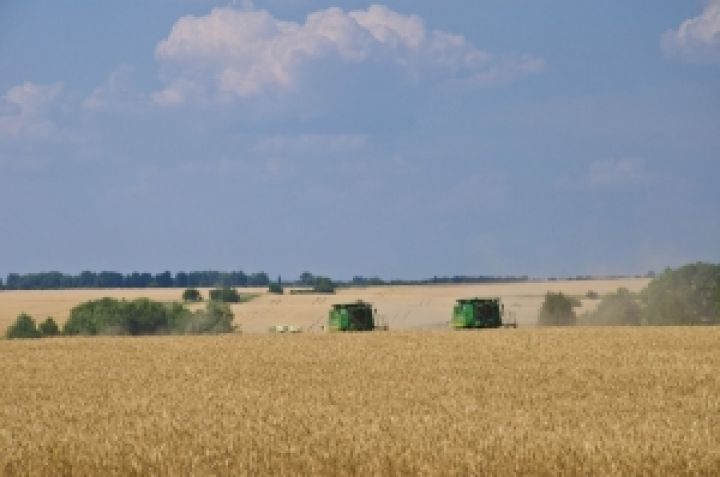 Агрохолдинги обрабатывают 480 тыс. га земли в Сумской области