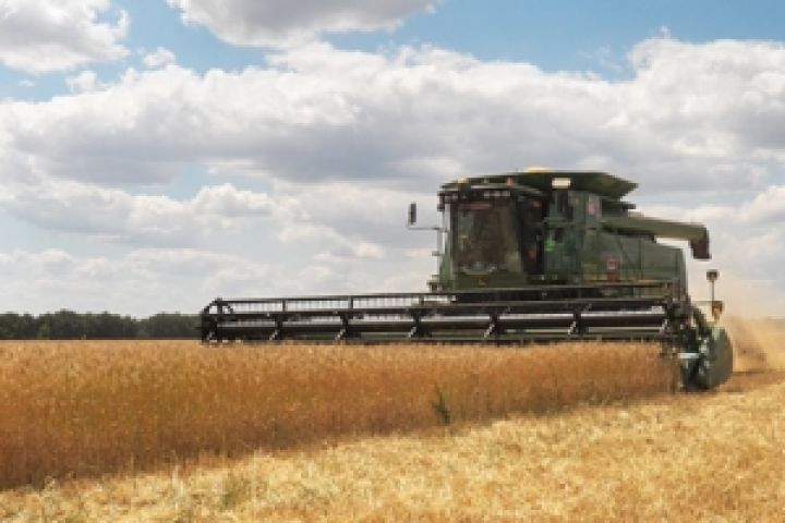 В Запорожской области уже  скошено 245 тыс. га зерновых