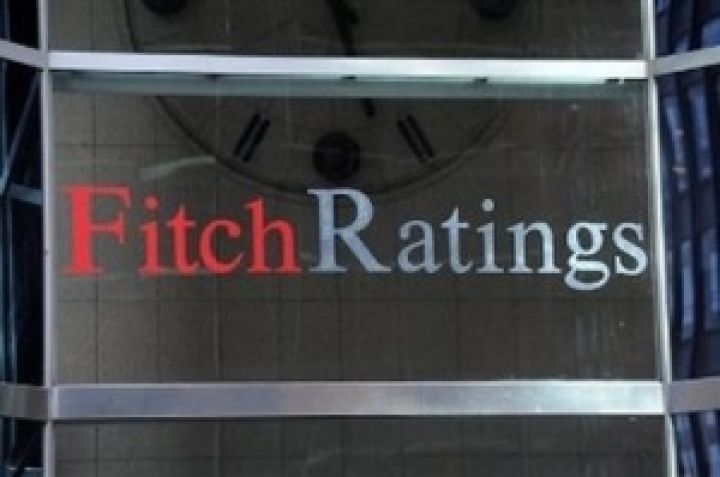 Fitch снизил прогноз рейтинга агрохолдингов, а не сам рейтинг — Мрия