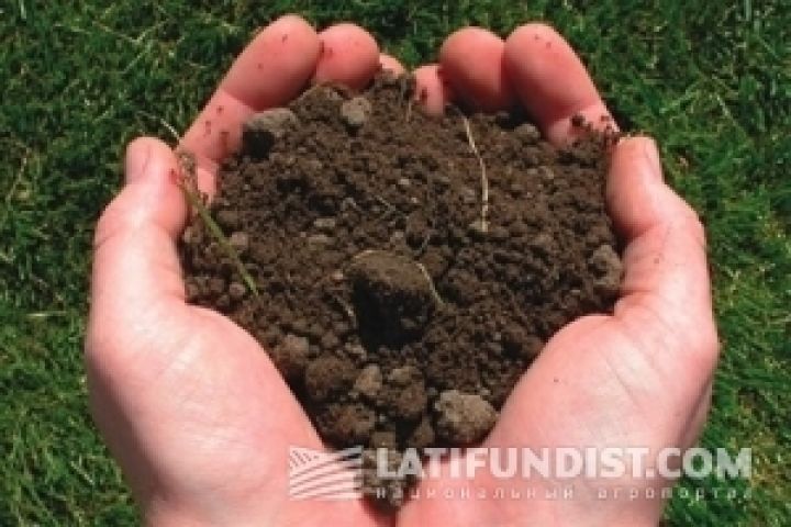 Закон о сохранении плодородия почв не защищает землю, а создает трудности для бизнеса — эксперт