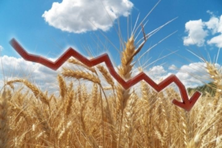 Налоговые эксперименты «давят» на цену зерна — эксперт