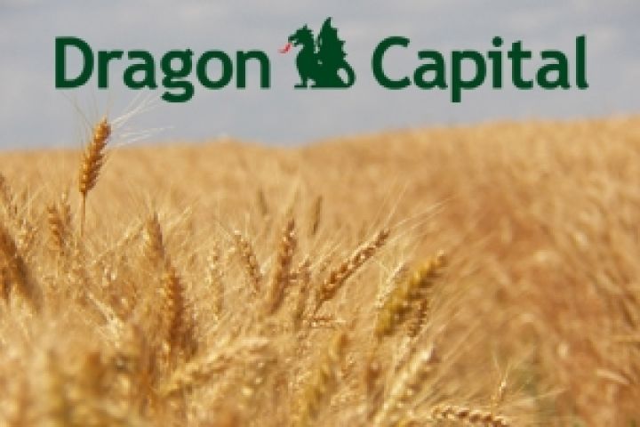 Экспорт зерна может достичь 27,8 млн т  — Dragon Capital 
