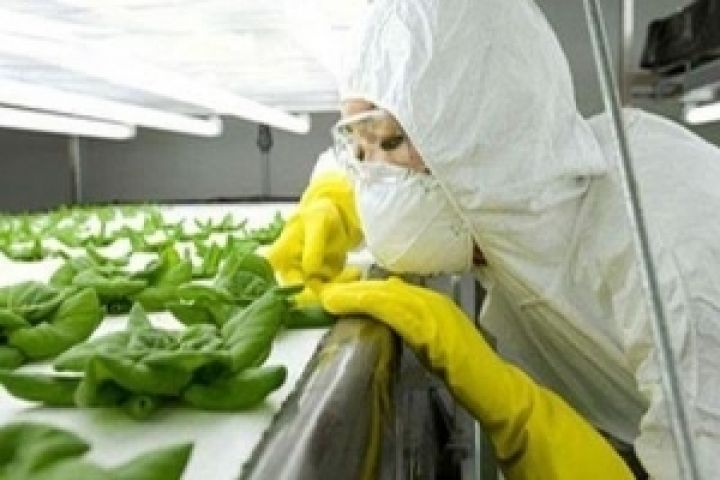 Сеть украинских лабораторий будет определять наличие ГМО в продуктах