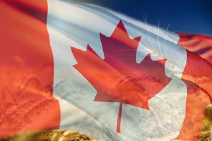 Канада ожидает рекордного урожая