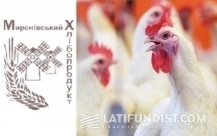 МХП готов экспортировать курятину в ЕС