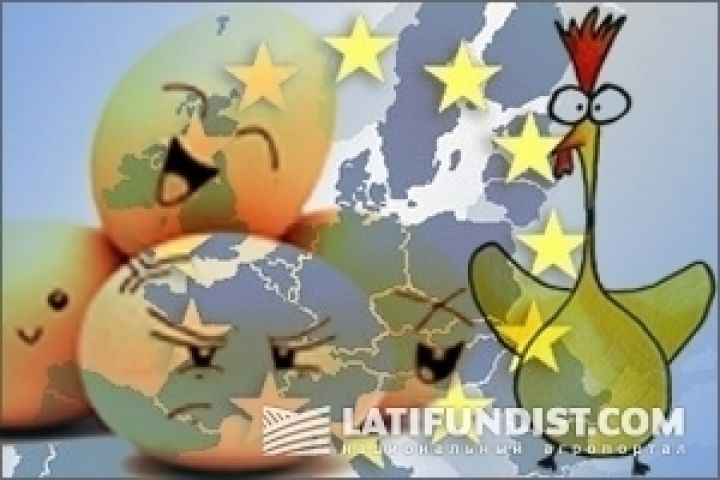 Поставки украинской курятины в ЕС начнутся не ранее сентября — птицеводы