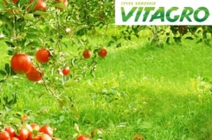 Аграрная компания группы Vitagro взяла кредит на 25 млн грн