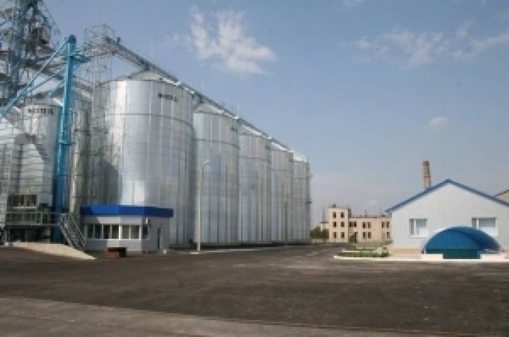 Аграрии Киевщены имеют  миллион элеваторных  мощностей для хранения зерна — губернатор