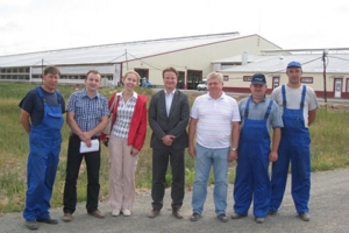 Cоветник по вопросам сельского хозяйства посольства Нидерландов посетил украинский Милкиленд
