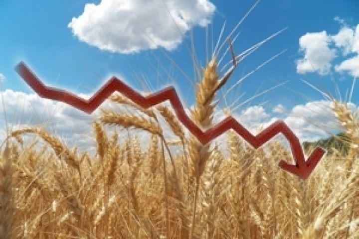 Мировые цены на зерновые рухнули на 24%