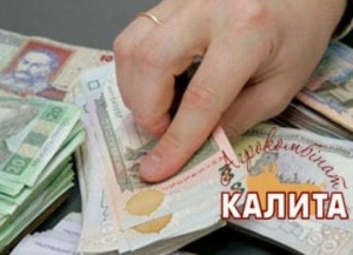 Киев продает акции агрокомбината Калита