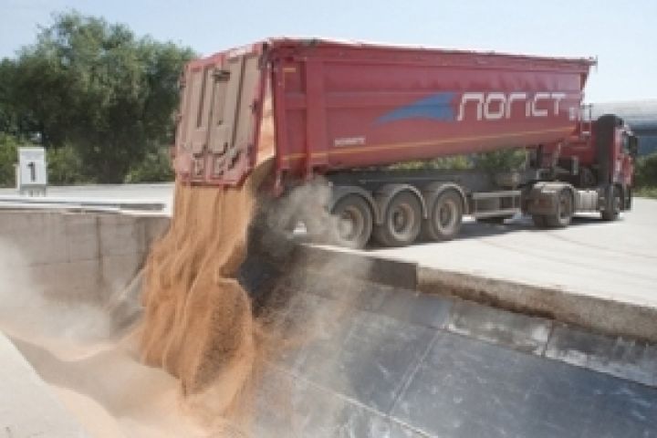 Украина экспортирует зерно на новые рынки — Присяжнюк